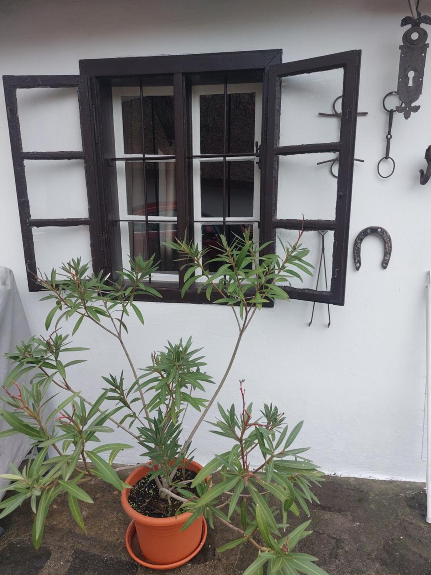 Babamuzeum Apartman Tihany Exterior foto